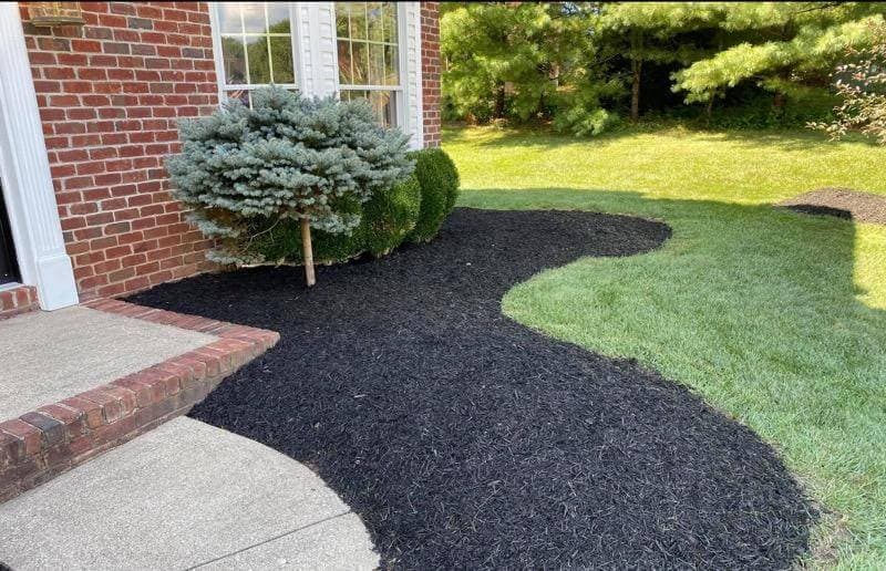 Residential Lawn Care - After